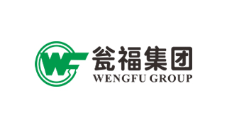 Groupe Wengfu